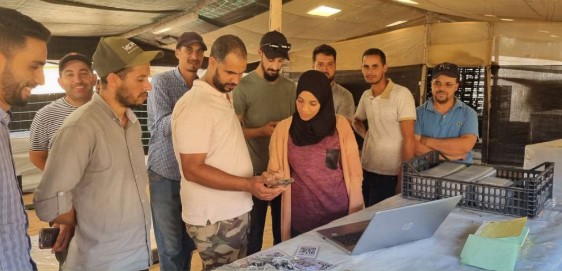 Workers harvesting blueberries with PickApp mobile tools